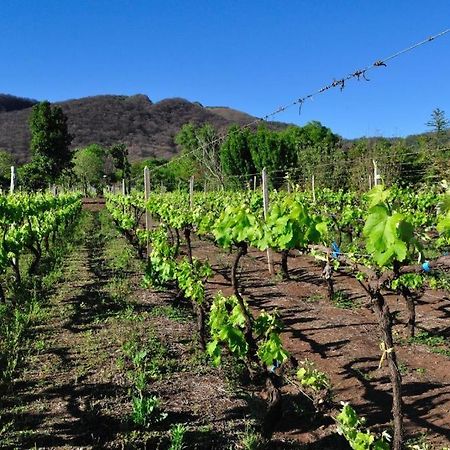 Finca Cielo Verde Chicoana 外观 照片
