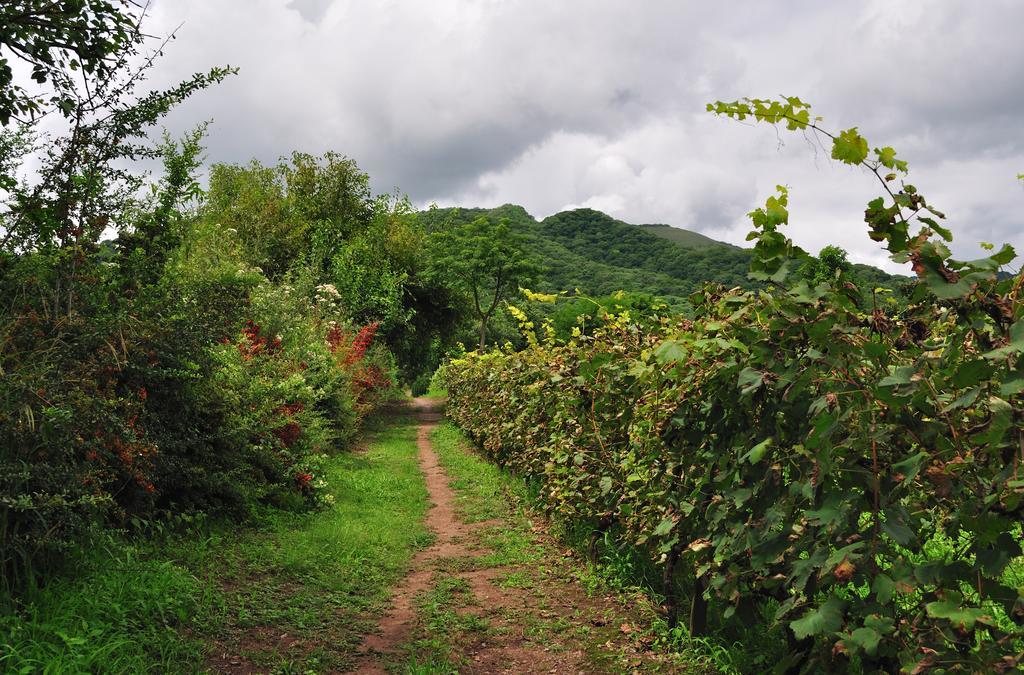 Finca Cielo Verde Chicoana 外观 照片